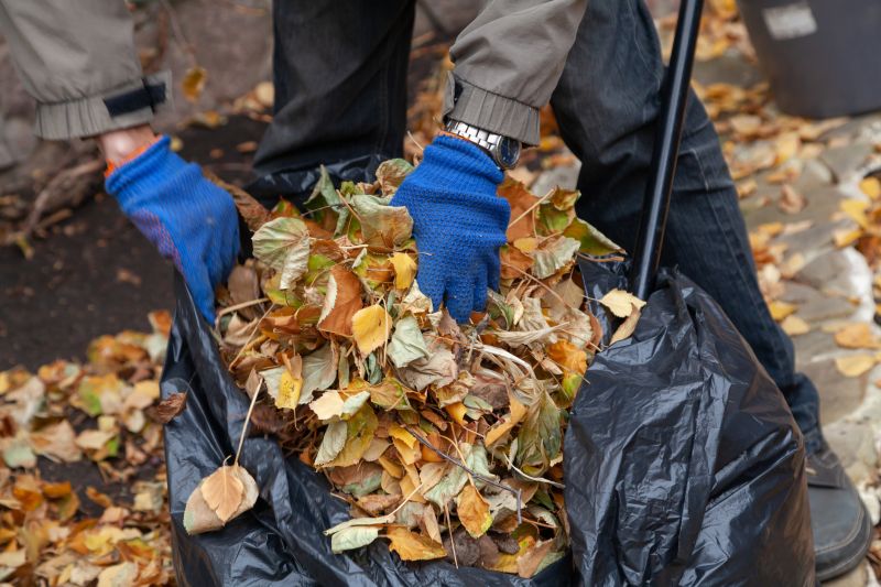 Leaf Bagging and Collection