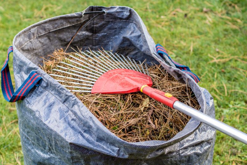 Pine Needle Raking