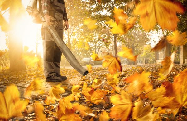 Cost of Leaf Blowing Service in Everett