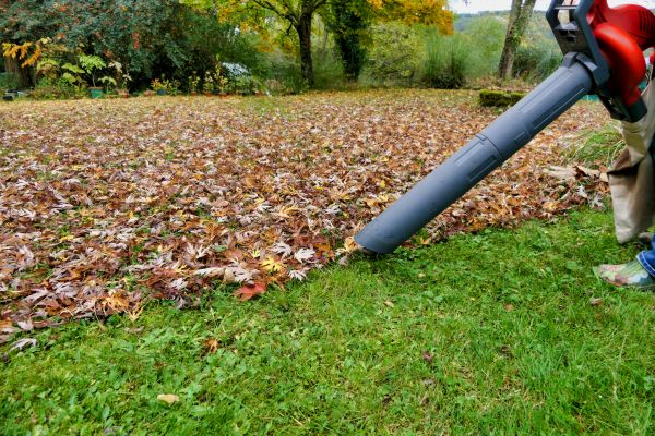 Cost of Leaf Vacuuming Service in Everett