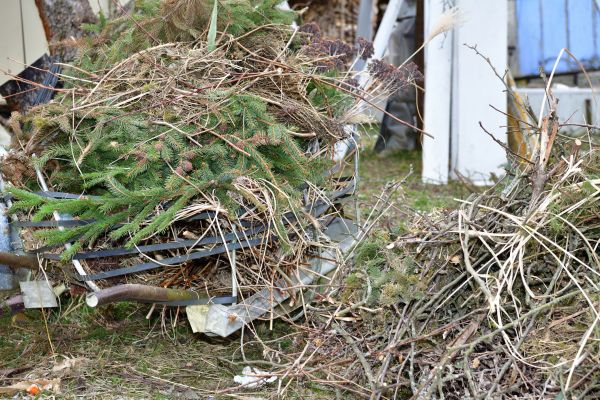Cost of Yard Debris Removal in Everett