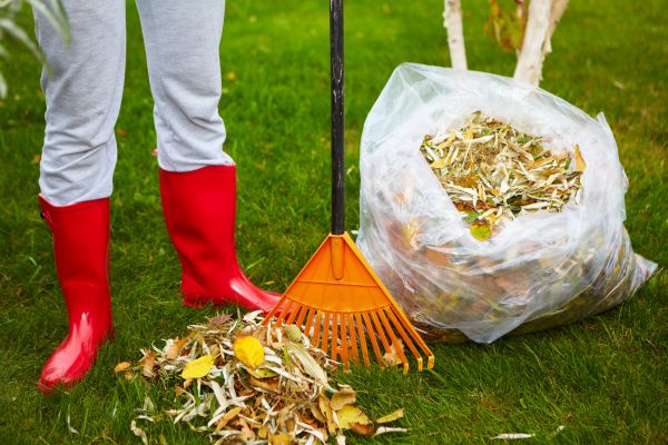 Cost of Leaf Disposal Service in Everett