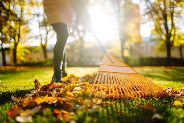 Cost of Leaves Raking in Everett