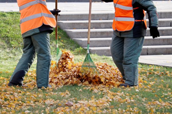 Cost of Leaf Hauling Service in Everett
