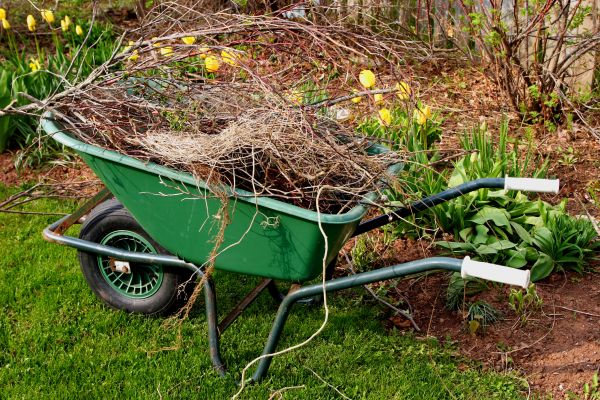 Cost of Lawn Waste Removal in Everett