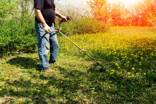 Cost of Yard Clearing Service in Everett