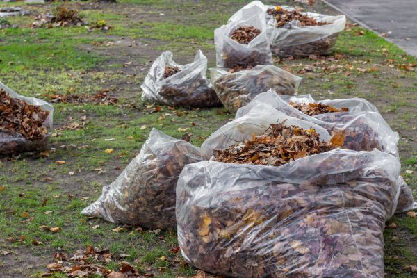 Cost of Leaf Pile Disposal in Everett