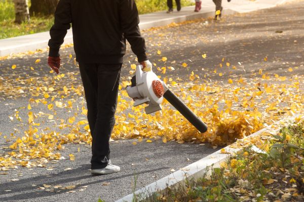 Cost of Commercial Leaf Removal in Everett